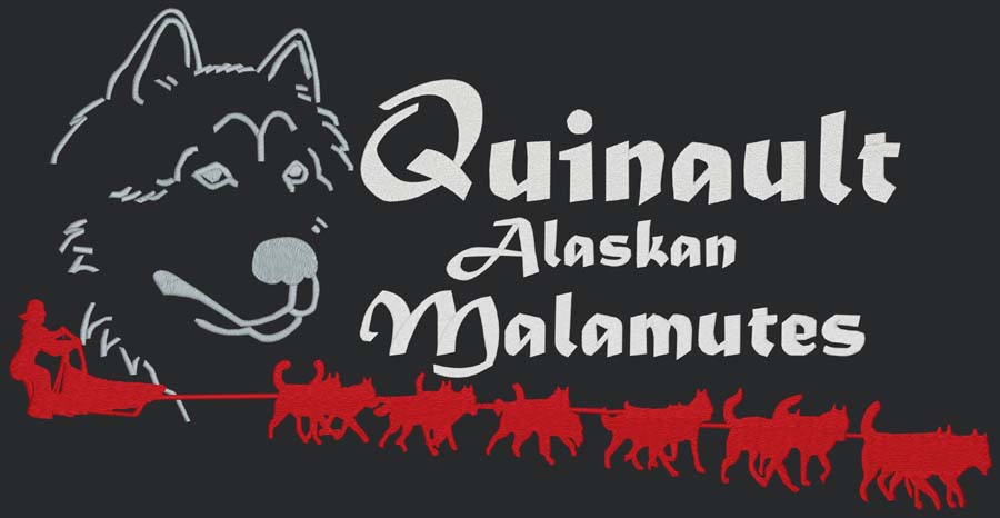 Quinault Alaskan Malamutes - Run For The Red Lantern