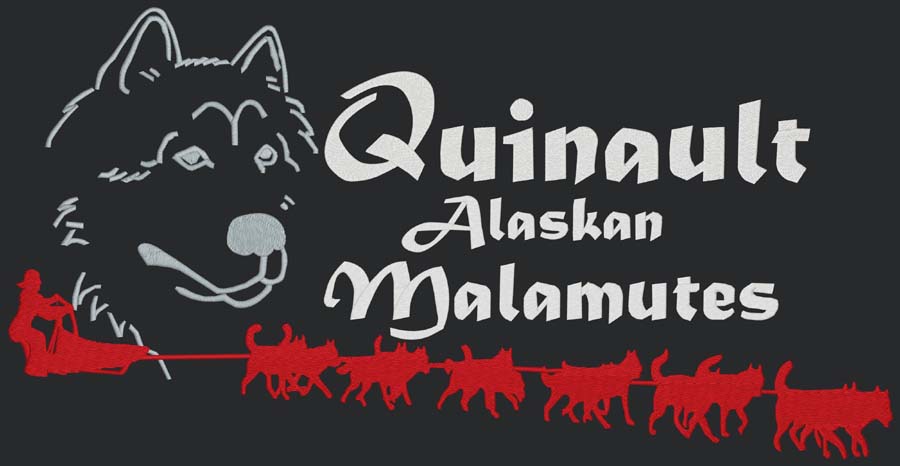 Quinault Alaskan Malamutes - Run For The Red Lantern